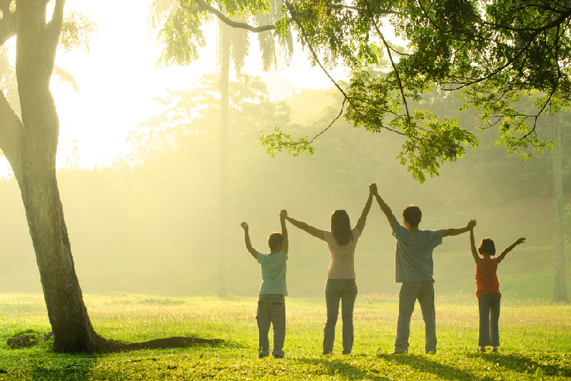Life Insurance - Dhankumbha Financial Services